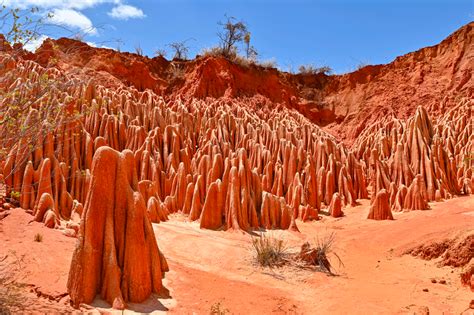 The Tsingy What Are They Exactly Vivy Travel Madagascar