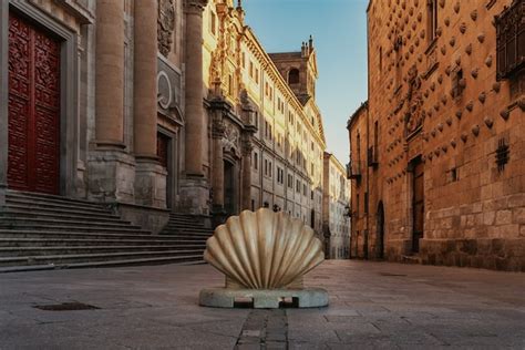 Uma concha que é o símbolo do caminho de santiago nas ruas de