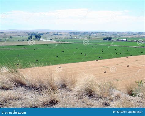 Farming In Montana Stock Photo Image Of Land Farming 1031690