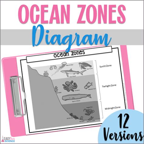 Ocean Zones Diagram Easy Fun Science