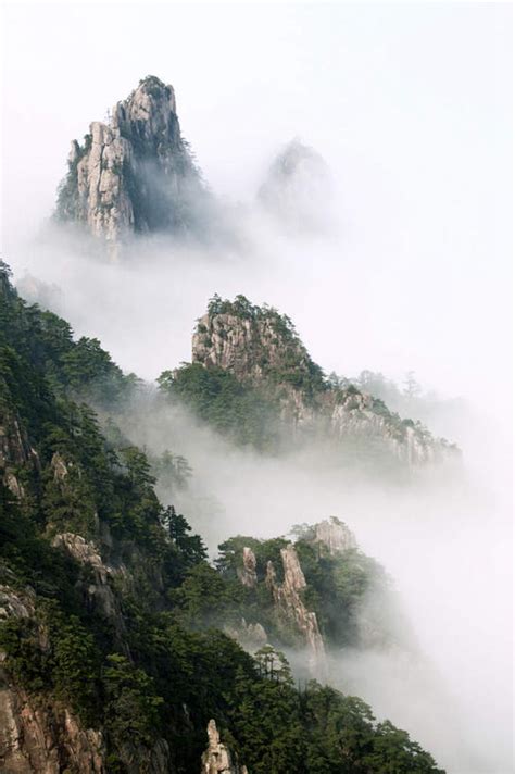 无人竖图俯视航拍室外白天旅游度假黄山美景树林植物雾中国亚洲一排许多阴影朦胧模糊整齐光线影子景观