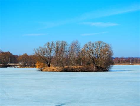 Naked Frozen Female Woman Covered In Ice Stock Photo Image Of Face Beauty