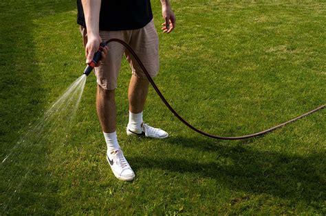 Summer Lawn Watering Best Time To Water Grass In Hot Weather