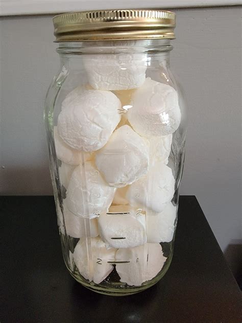 Freeze-Dried Marshmallows – reThinkSurvival.com