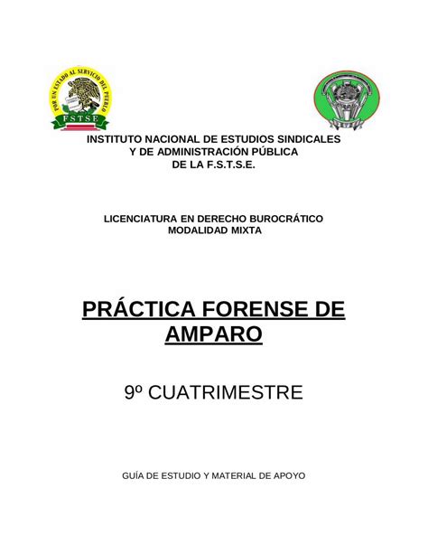 Pdf Pr Ctica Forense De Amparo Dokumen Tips