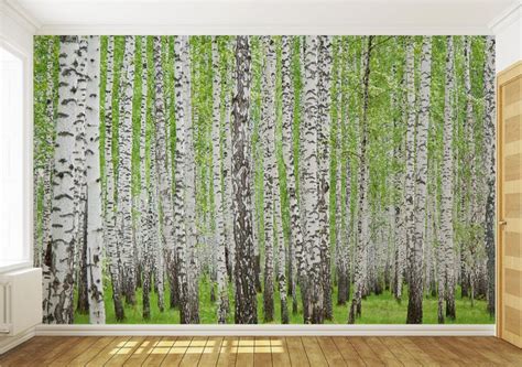 Silver Birch Forest Wallpaper Mural Forest Wallpaper Mural Wallpaper