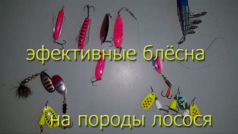 эффективные блёсна для ловли лососёвых пород - YouTube