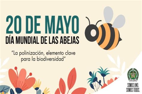 Día Mundial De Las Abejas Policía Nacional De Colombia