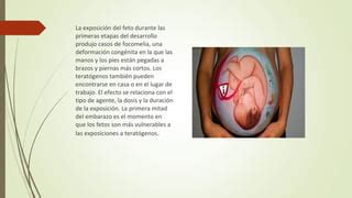 Genetica Y Comportamiento Ppt