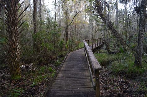 Paynes Creek Historic State Park Historic Trail And Peace River Trail