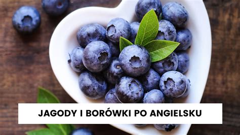 Blueberry bilberry czy huckleberry Jak powiedzieć jagoda i borówka