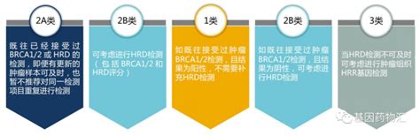 速递乳腺癌辅助治疗药物fda批准奥拉帕利奥拉帕尼、lynparza作为brca阳性和her2阴性的高危早期乳腺癌辅助治疗方案全球肿瘤医生网