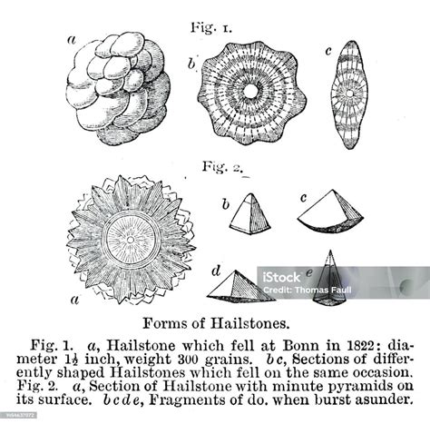 Various Forms Of Hailstone With Labels Stock Illustration - Download Image Now - 19th Century ...