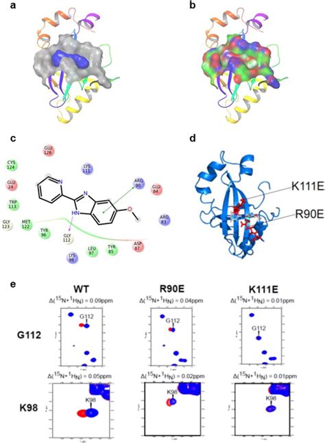 GLIDE based docking of inhibitors to CBFβ A Surface representation of