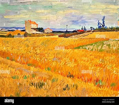 Wheat Field Champs De Bl 1888 Painting Artist Gogh Vincent Van