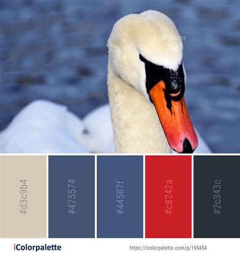 Color Palette ideas from 1738 Bird Images | iColorpalette | Color palette, Bird, Palette