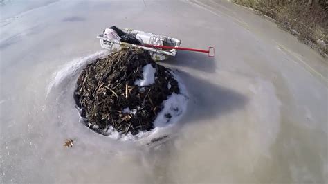 Day 1 Winter Trapping Wisconsin For Beaver Muskrats And Coon Youtube