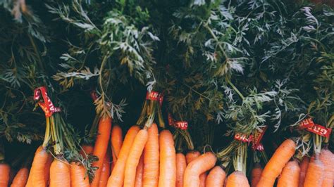 Que Faire Avec Des Fanes De Carottes