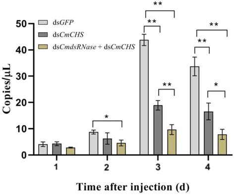 Ijms Free Full Text Identification And Characterization Of A Double