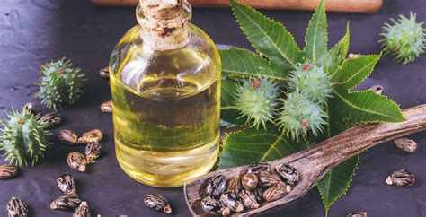 Castor Oil Benefits Uses Dosage And Side Effects Dr Axe