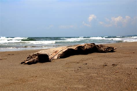 Free Images Beach Landscape Sea Coast Sand Rock Ocean Horizon