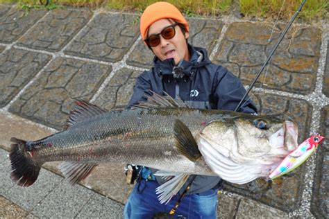 日本のシーバス釣りを「東京湾奥から変えた」カリスマ・大野ゆうきがdaiwa共に作り上げた新たな景色とは【モアザン20周年記念特別企画】│ルアマガプラス