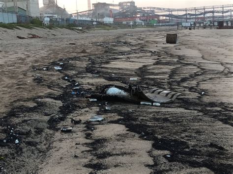 Dunas de Ritoque on Twitter El día después del incendio de Puerto