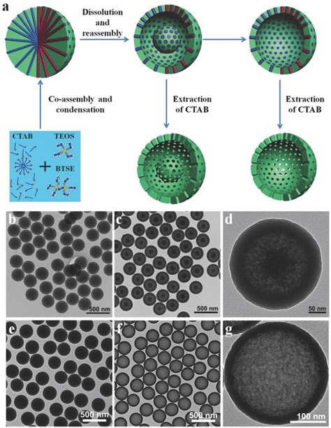 A Illustration Of The Formation Process Of Yolkshell Structured And