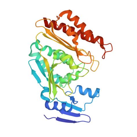 Rcsb Pdb Nvz Crystal Structure Of Bovine Xanthine Oxidase In