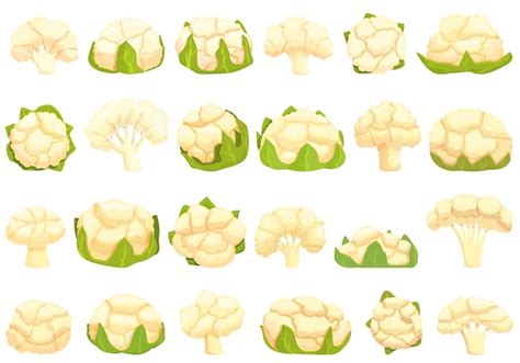 Conjunto De Iconos De Coliflor Vector De Dibujos Animados Pieza De