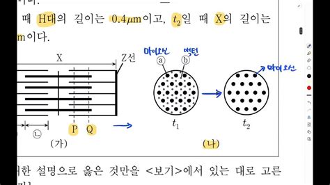 2023 해성고 생명과학1 근수축 기출문제문제지23 26쪽 풀이 Youtube