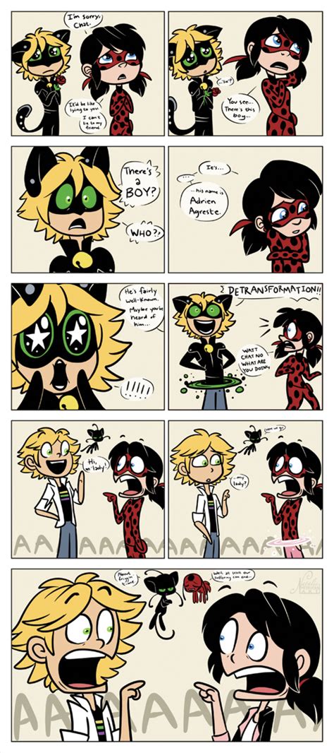 Miraculous Ladybug And Cat Noir Funny Comics - Cat Mania