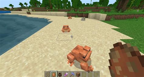 Where Do Frogs Spawn In Minecraft Plus How To Tame