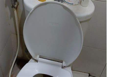 WC Mampet Buat Penghuni Rumah Tak Nyaman Modal Bahan Dapur Ini Ampuh