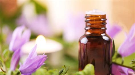 Эфирные масла от комаров и мошек: какое масло отпугивает на природе и в ...