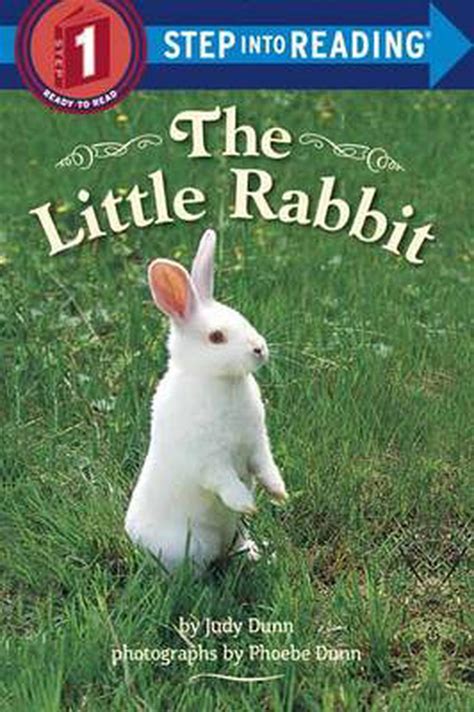 The Little Rabbit By Judy Dunn Paperback 9780553533545 Buy Online