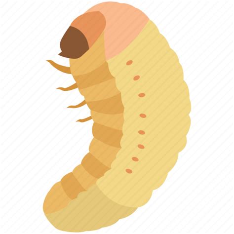 Larva Png