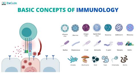 Basic Concepts Of Immunology BioCode