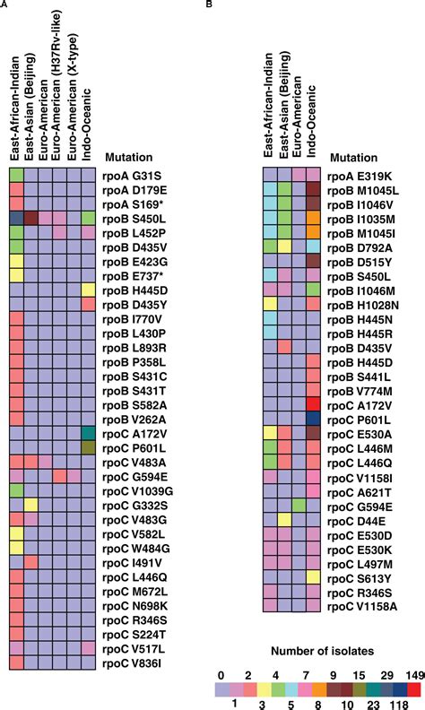 Frontiers Whole Genome Sequencing Of Mycobacterium Tuberculosis