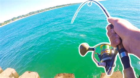 Lake Michigan Pier Fishing SUMMER Steelhead Skamania Steelhead