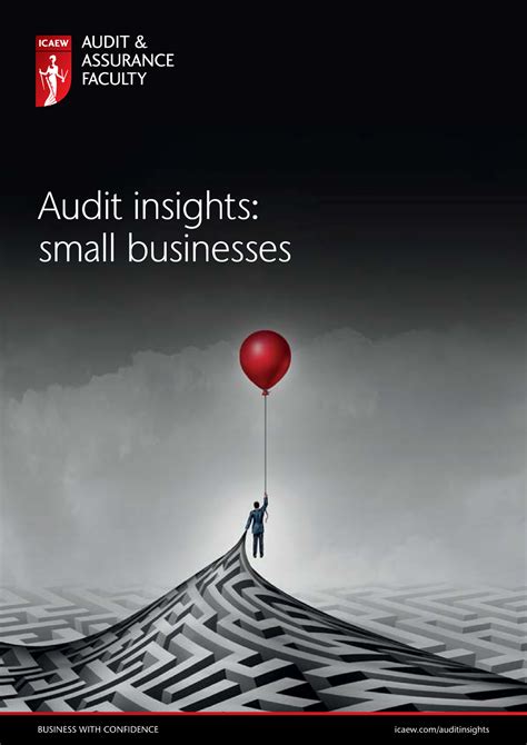 Audit Insights Small Businesses Report Audit Insights Small