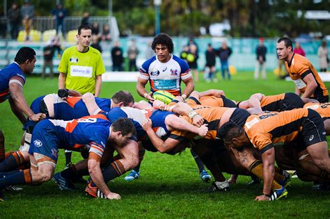 Top 8 Teams Predicted to Play the NRL Finals - All Peers