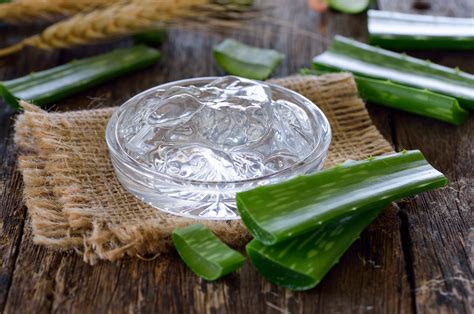 Aloe Vera cos è benefici proprietà e usi Maria Oil