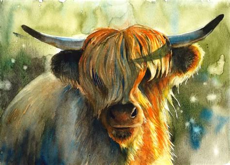 Stunning "Highland Cow" Painting Reproductions For Sale On Fine Art Prints