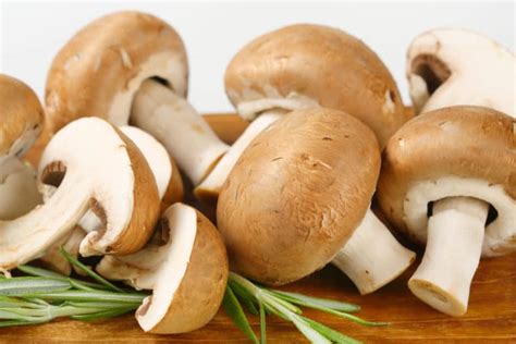 10 Popular Grocery Store Mushrooms And Their Uses Mushroom Huntress