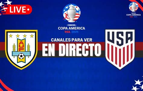 Francia Vs B Lgica En Vivo Y En Directo Horarios Pron Sticos Y