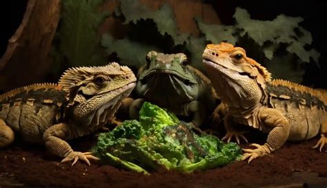 Can Bearded Dragons Eat Morio Worms Jeffrey Younggren