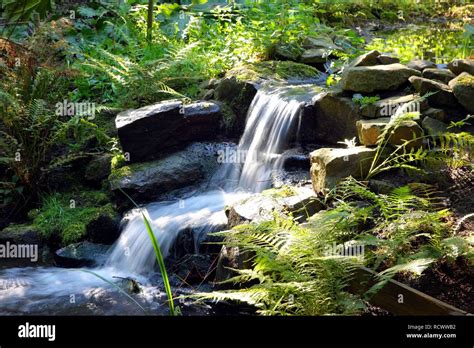 Small Waterfall In A Brook Public Botanical Garden Of The Ruhr