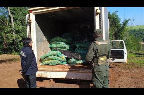 Aberrante Trasladan Tres Toneladas De Carne Bovina Sin Cadena De Fr O