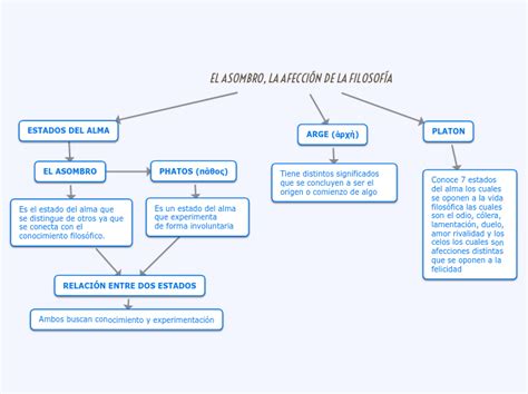 El Asombro La Afecci N De La Filosof A Mind Map